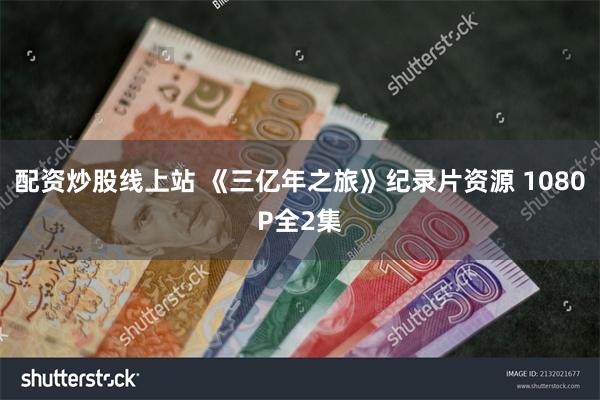 配资炒股线上站 《三亿年之旅》纪录片资源 1080P全2集