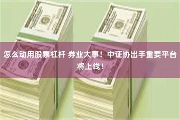 怎么动用股票杠杆 券业大事！中证协出手重要平台将上线！