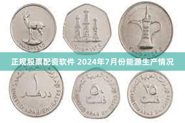 正规股票配资软件 2024年7月份能源生产情况