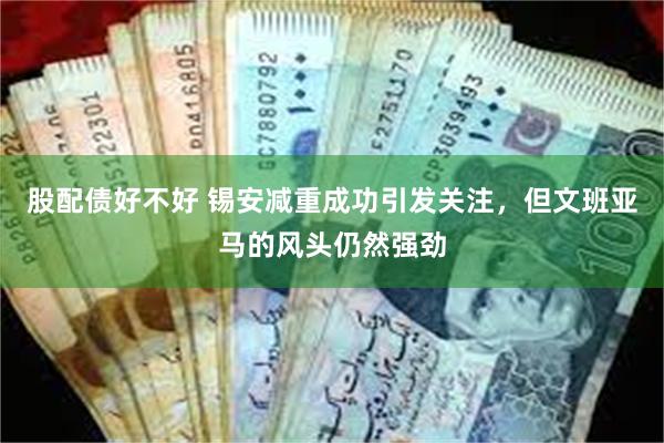 股配债好不好 锡安减重成功引发关注，但文班亚马的风头仍然强劲