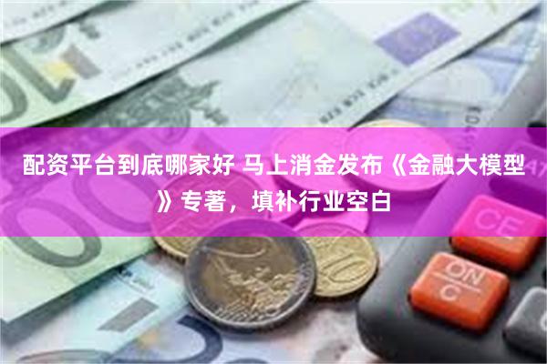 配资平台到底哪家好 马上消金发布《金融大模型》专著，填补行业空白