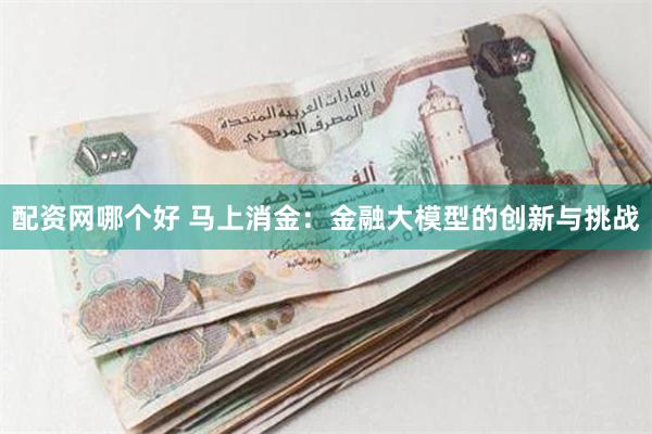 配资网哪个好 马上消金：金融大模型的创新与挑战