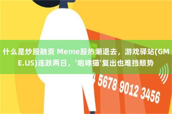 什么是炒股融资 Meme股热潮退去，游戏驿站(GME.US)连跌两日，‘咆哮猫‘复出也难挡颓势
