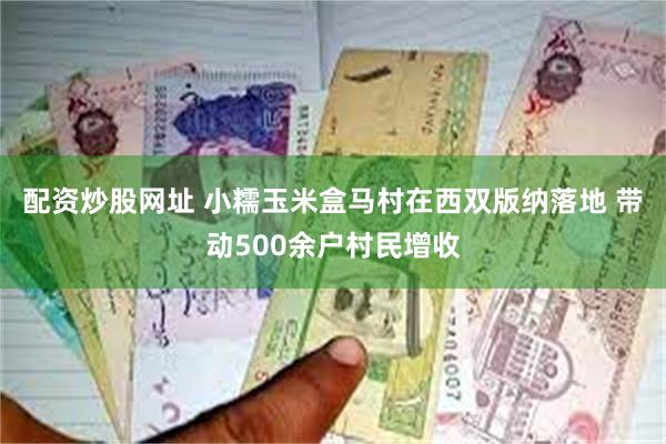 配资炒股网址 小糯玉米盒马村在西双版纳落地 带动500余户村民增收