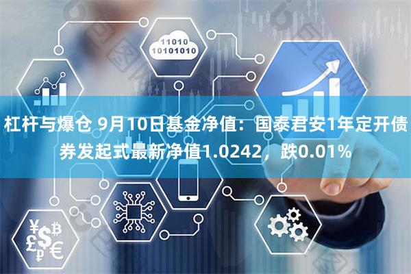 杠杆与爆仓 9月10日基金净值：国泰君安1年定开债券发起式最新净值1.0242，跌0.01%