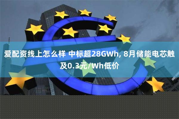爱配资线上怎么样 中标超28GWh, 8月储能电芯触及0.3元/Wh低价