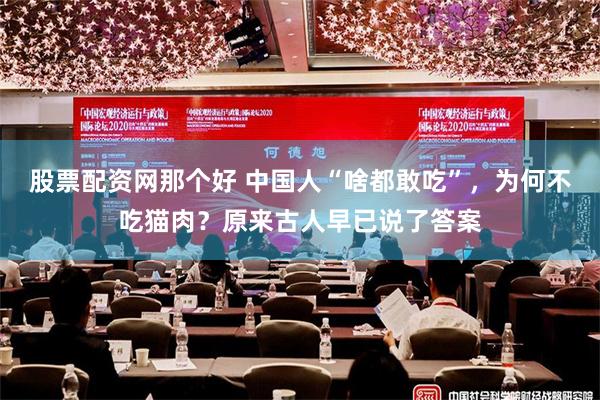 股票配资网那个好 中国人“啥都敢吃”，为何不吃猫肉？原来古人早已说了答案