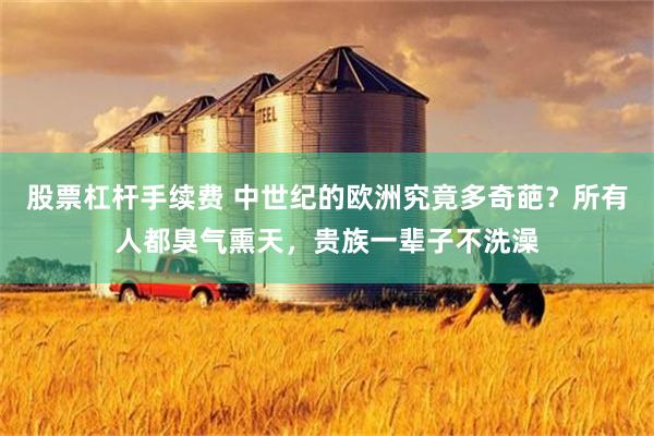 股票杠杆手续费 中世纪的欧洲究竟多奇葩？所有人都臭气熏天，贵族一辈子不洗澡