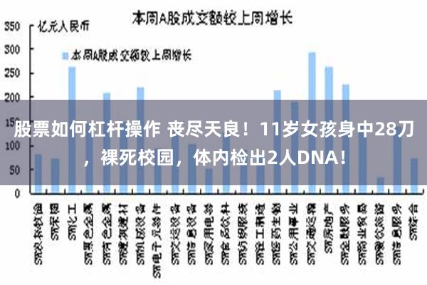 股票如何杠杆操作 丧尽天良！11岁女孩身中28刀，裸死校园，体内检出2人DNA！