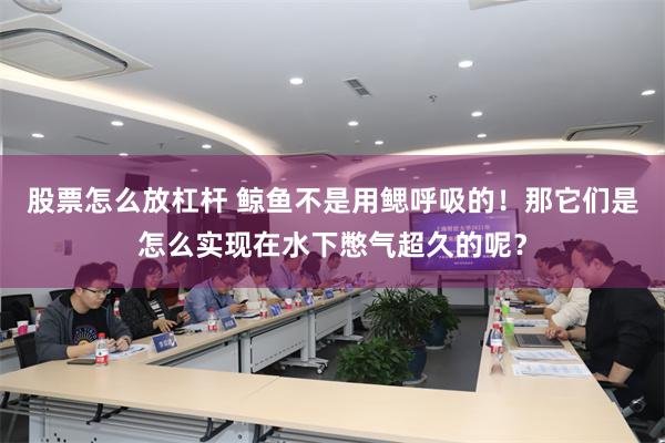 股票怎么放杠杆 鲸鱼不是用鳃呼吸的！那它们是怎么实现在水下憋气超久的呢？