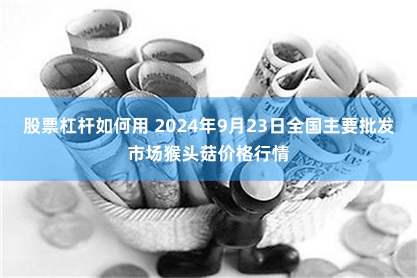 股票杠杆如何用 2024年9月23日全国主要批发市场猴头菇价格行情