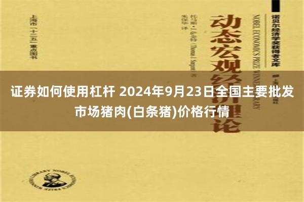 证券如何使用杠杆 2024年9月23日全国主要批发市场猪肉(白条猪)价格行情