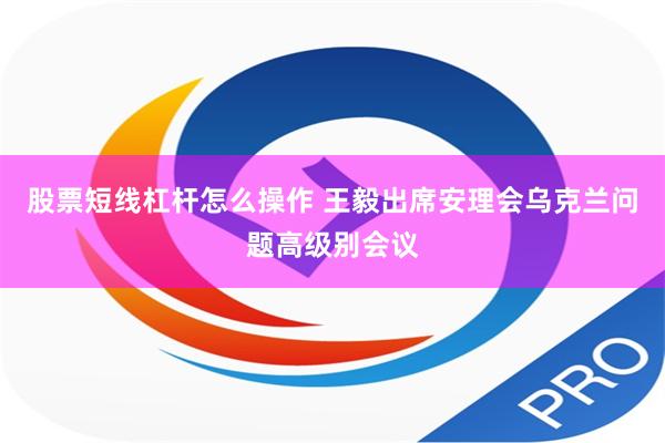 股票短线杠杆怎么操作 王毅出席安理会乌克兰问题高级别会议