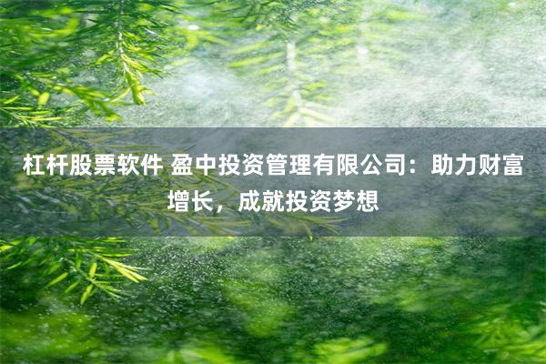 杠杆股票软件 盈中投资管理有限公司：助力财富增长，成就投资梦想