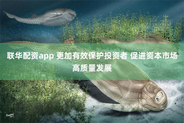 联华配资app 更加有效保护投资者 促进资本市场高质量发展