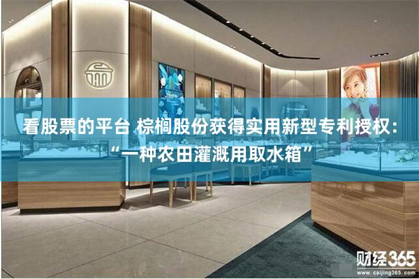 看股票的平台 棕榈股份获得实用新型专利授权：“一种农田灌溉用取水箱”