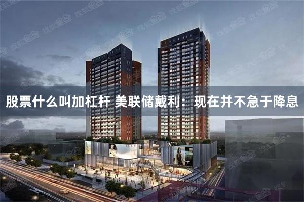 股票什么叫加杠杆 美联储戴利：现在并不急于降息
