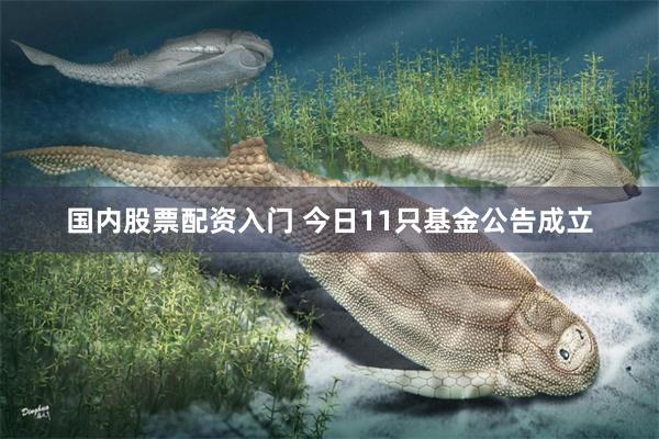 国内股票配资入门 今日11只基金公告成立