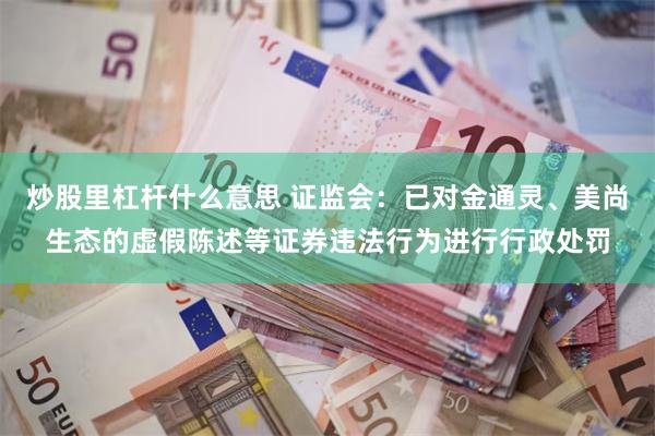 炒股里杠杆什么意思 证监会：已对金通灵、美尚生态的虚假陈述等证券违法行为进行行政处罚