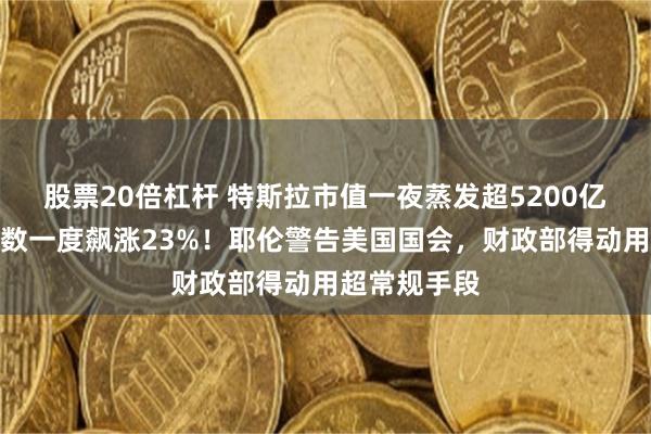 股票20倍杠杆 特斯拉市值一夜蒸发超5200亿元！恐慌指数一度飙涨23%！耶伦警告美国国会，财政部得动用超常规手段