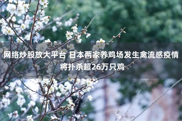 网络炒股放大平台 日本两家养鸡场发生禽流感疫情 将扑杀超26万只鸡