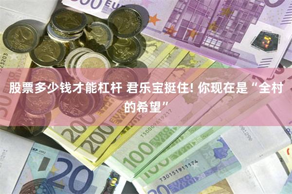 股票多少钱才能杠杆 君乐宝挺住! 你现在是“全村的希望”