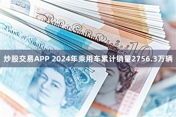 炒股交易APP 2024年乘用车累计销量2756.3万辆