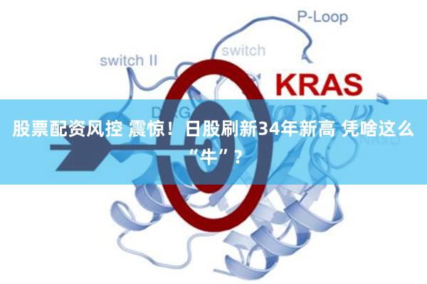 股票配资风控 震惊！日股刷新34年新高 凭啥这么“牛”？