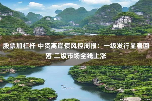 股票加杠杆 中资离岸债风控周报：一级发行显著回落 二级市场全线上涨