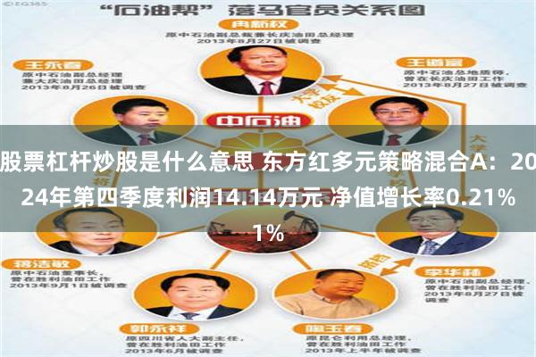 股票杠杆炒股是什么意思 东方红多元策略混合A：2024年第四季度利润14.14万元 净值增长率0.21%