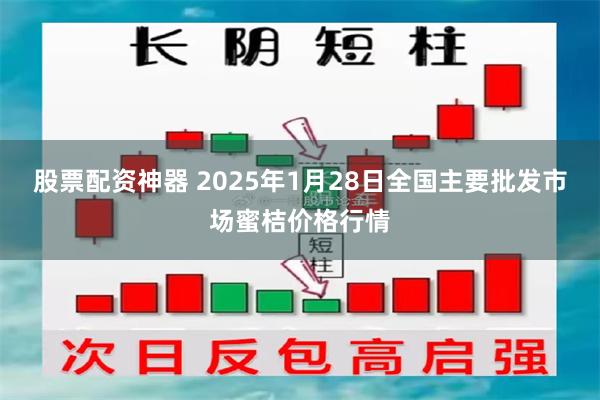 股票配资神器 2025年1月28日全国主要批发市场蜜桔价格行情