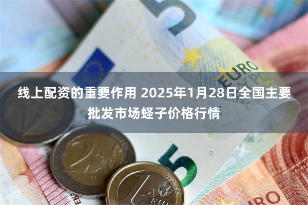 线上配资的重要作用 2025年1月28日全国主要批发市场蛏子价格行情
