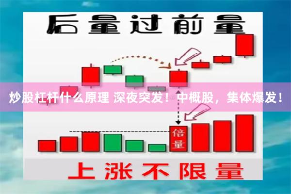 炒股杠杆什么原理 深夜突发！中概股，集体爆发！