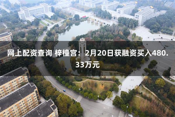 网上配资查询 梓橦宫：2月20日获融资买入480.33万元