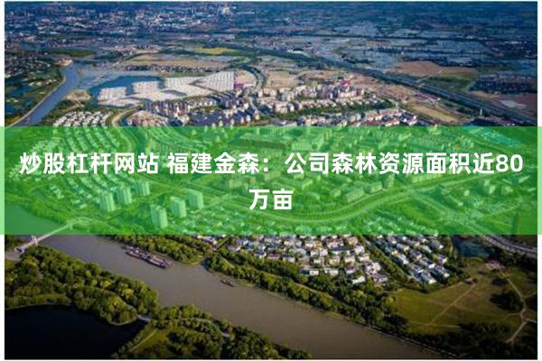 炒股杠杆网站 福建金森：公司森林资源面积近80万亩