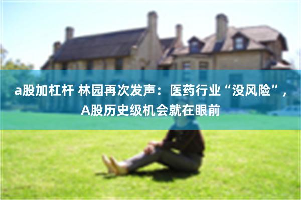 a股加杠杆 林园再次发声：医药行业“没风险”，A股历史级机会就在眼前