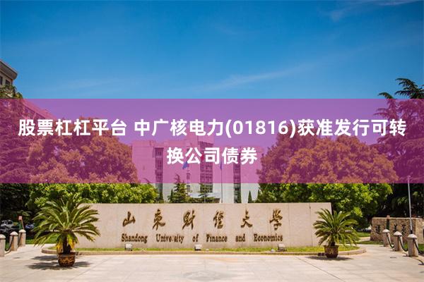 股票杠杠平台 中广核电力(01816)获准发行可转换公司债券