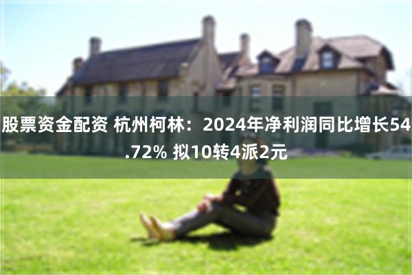股票资金配资 杭州柯林：2024年净利润同比增长54.72% 拟10转4派2元