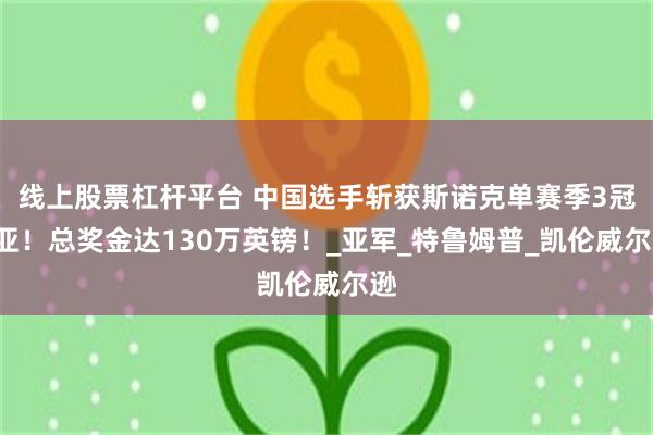 线上股票杠杆平台 中国选手斩获斯诺克单赛季3冠3亚！总奖金达130万英镑！_亚军_特鲁姆普_凯伦威尔逊