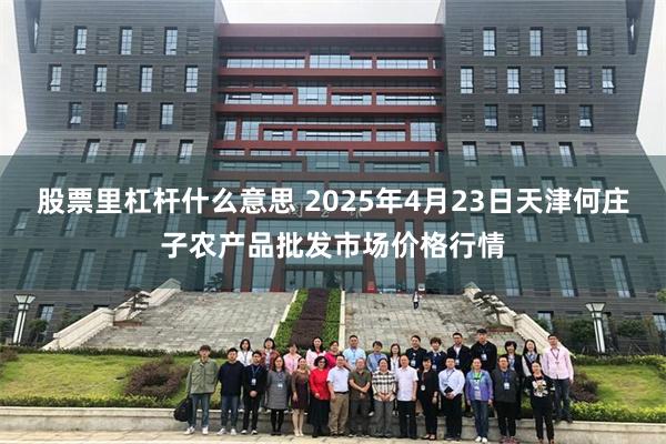 股票里杠杆什么意思 2025年4月23日天津何庄子农产品批发市场价格行情