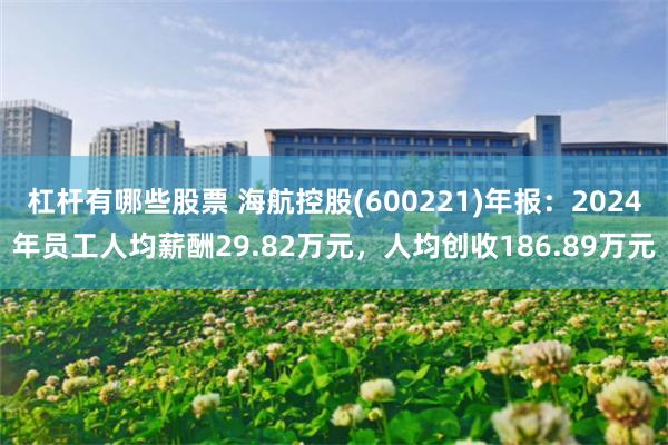 杠杆有哪些股票 海航控股(600221)年报：2024年员工人均薪酬29.82万元，人均创收186.89万元