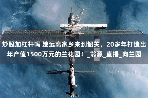 炒股加杠杆吗 她远离家乡来到韶关，20多年打造出年产值1500万元的兰花园！_翁源_直播_向兰园