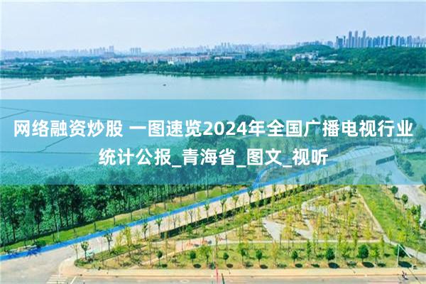 网络融资炒股 一图速览2024年全国广播电视行业统计公报_青海省_图文_视听