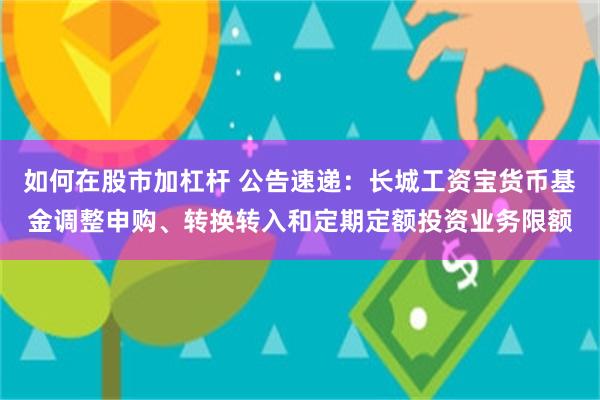 如何在股市加杠杆 公告速递：长城工资宝货币基金调整申购、转换转入和定期定额投资业务限额