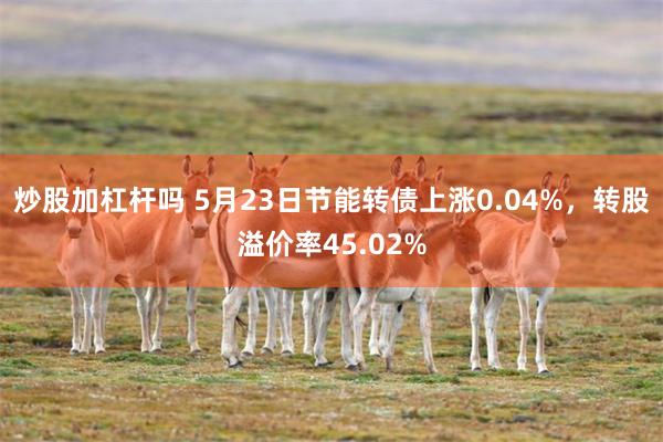 炒股加杠杆吗 5月23日节能转债上涨0.04%，转股溢价率45.02%