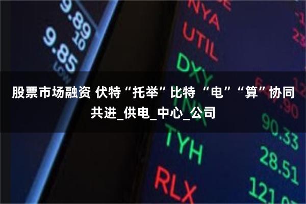 股票市场融资 伏特“托举”比特 “电”“算”协同共进_供电_中心_公司