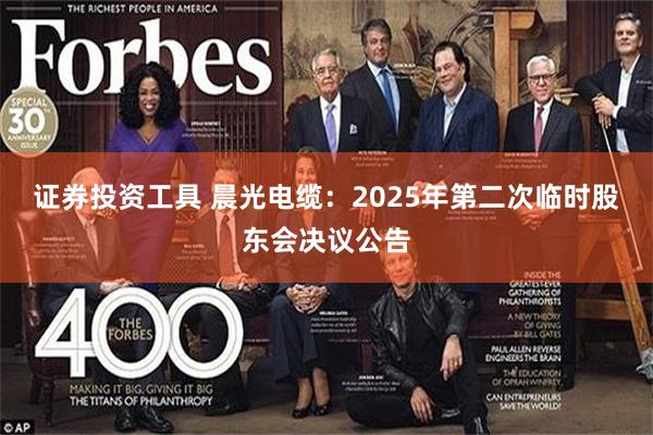 证券投资工具 晨光电缆：2025年第二次临时股东会决议公告