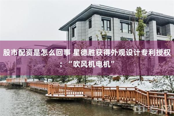股市配资是怎么回事 星德胜获得外观设计专利授权：“吹风机电机”
